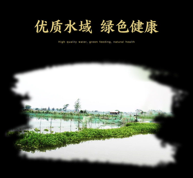 天猫超市 洪湖大闸蟹礼盒 3.5两公+2.5两母 各4只 图7
