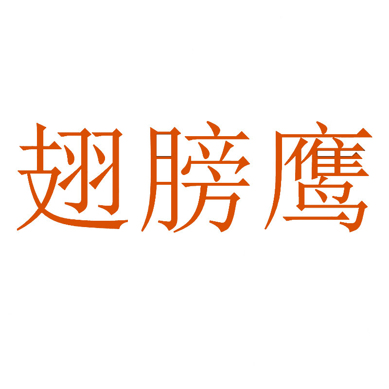 翅膀鹰童鞋馆
