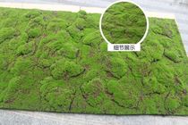 Mall Wall Stickup Green Moss Artificial Emulation Green Moss Background Wall Fake Green Plant decorations Bujing moss Grass Carpet