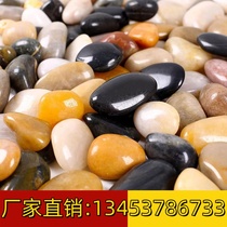 雨花石鹅卵石原石天然花盆庭院铺路五彩色小石头鱼缸造景水培石子