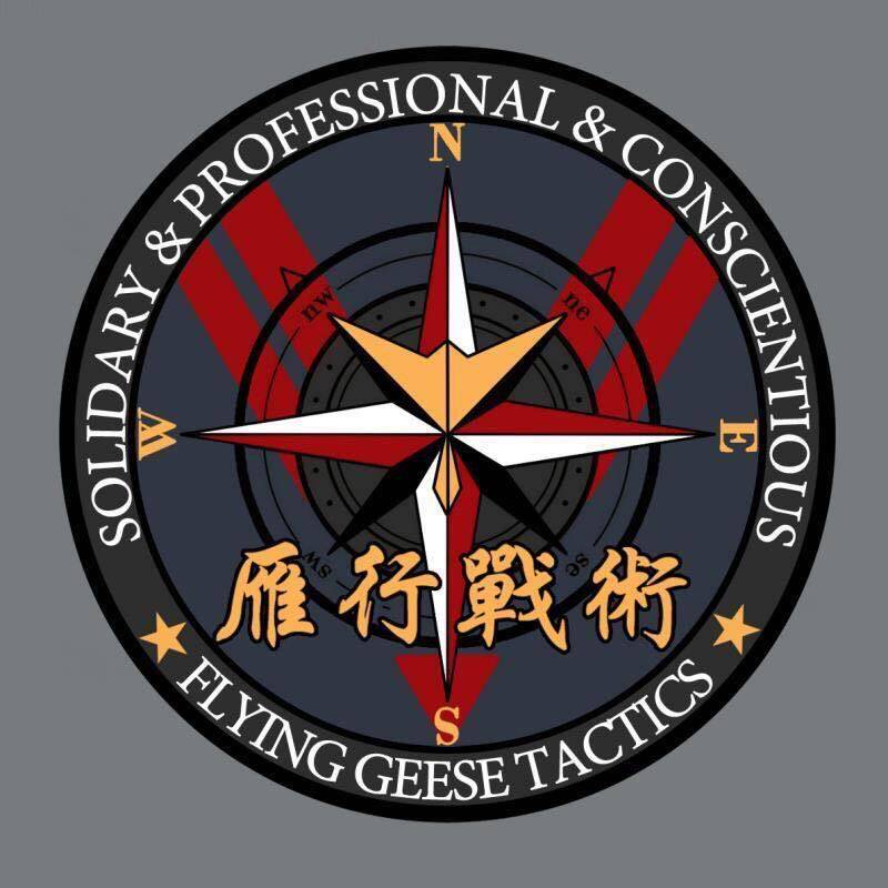雁行战术的LOGO