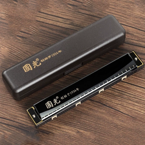 Губная гармошка для школьников для начинающих, практика для взрослых, орган