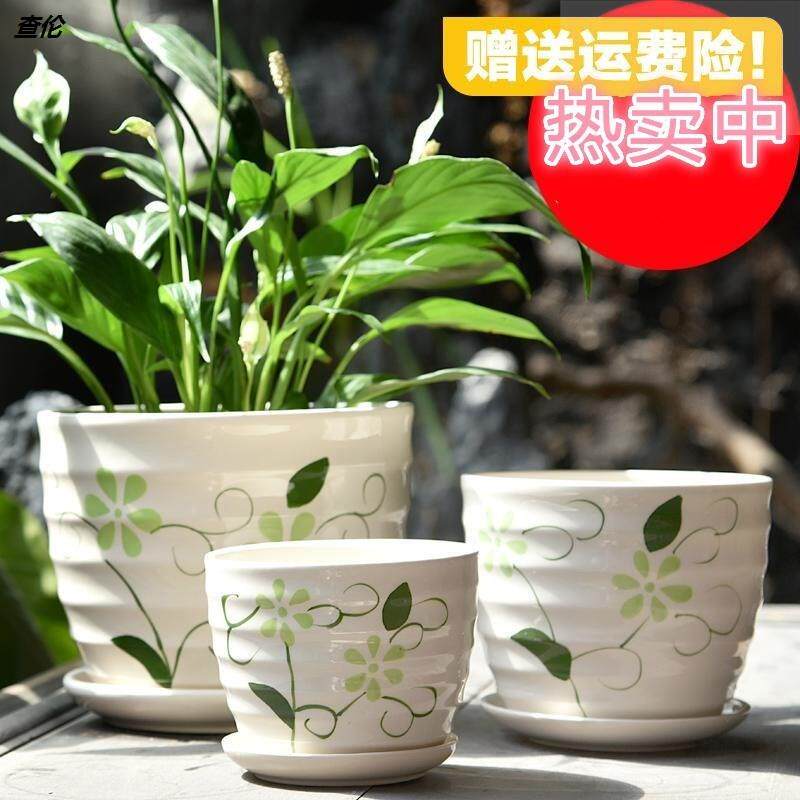 Flower Pot Ceramics Creative Personality Big Number Special with a depository minimalist Home Balcony Home Gold Gado Meat Flower Pots