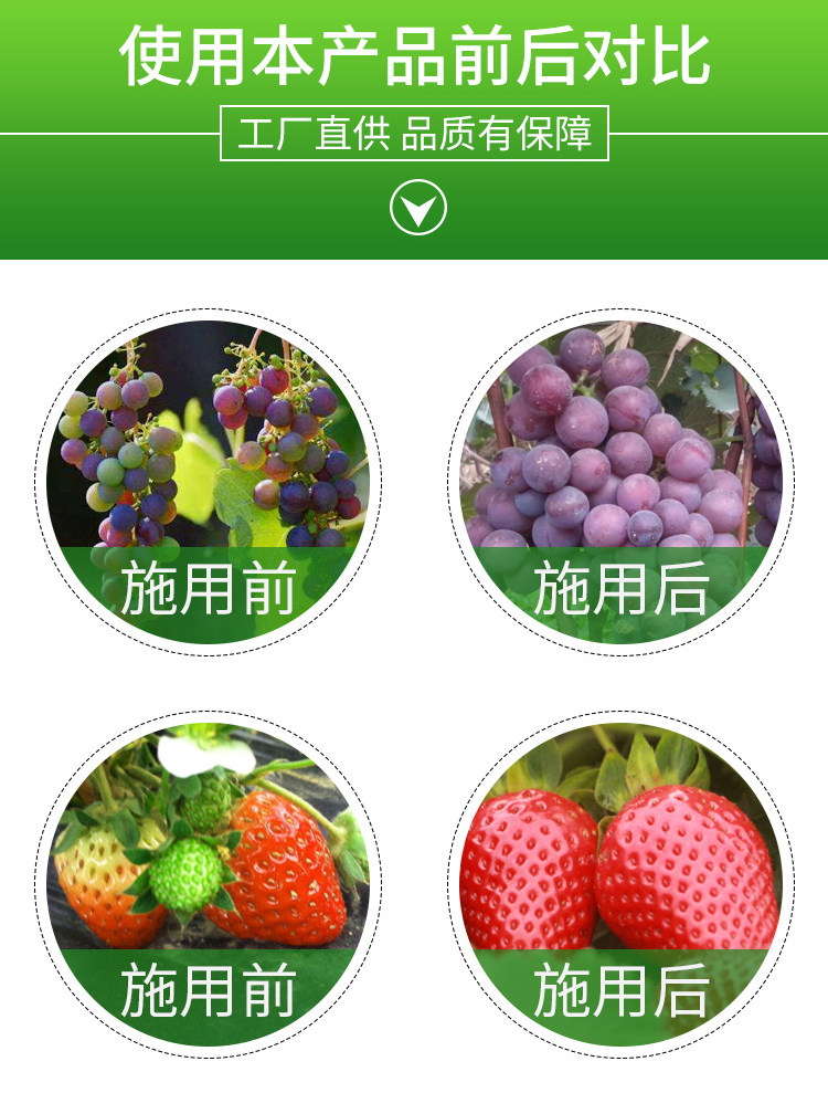 锌肥 果树肥叶面保花促花果