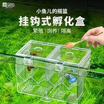 Guppy breeding box betta fish tank isolation box large juvenile fish fry incubator acrylic fish egg delivery room
