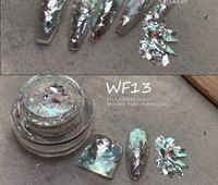 Поляризованный бингбо порошок WF13 【Дневное время】