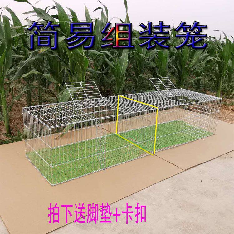 Temcga rough hare cage pigeon cage household with bred cage cage galvanized wire cage transport large cage