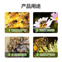 Bee bee medicine powerful oxytocin bee oxytocin queen bee increase production spirit bee with oxytocin oxytocin