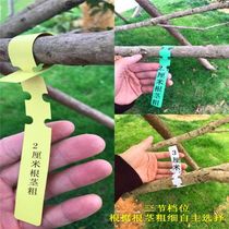 PVC waterproof ring sleeve label flower plant seedling gardening label plastic orchid label succulent ring buckle label