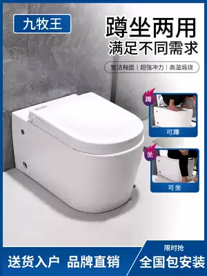 Pulse squatting dual-use toilet without tank Small apartment squatting one-piece toilet Dual-use squatting and sitting two-in-one