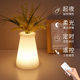 Warm vase lamp decoration timed dimming table lamp Nordic study bedroom bedside atmosphere night light soft light