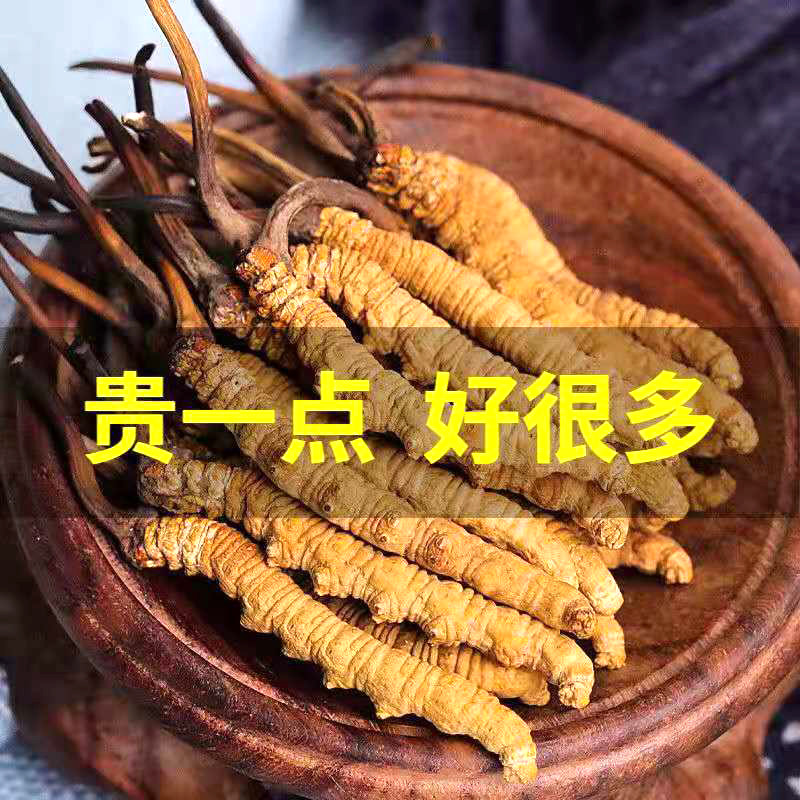 Naven Caterpillar Fungus Official Head Period Fresh Caterpillar Fungus Dry Goods 10 gr Wild Caterpillar Fungus 4 Grams Gift Box Dress