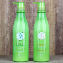 Qinye Green Tea Shampoo Moisturizing Smooth and Nourishing Hydrating Acidic Protein Repair Nourishing Cream