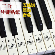 Piano keyboard key paste 88 keys 61 keys staff notation Note paste mouth organ accordion universal