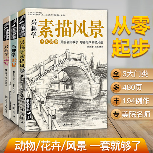经典全集 兴趣学素描/速写/风景3本套装 零基础入门 画画自学素描入门教材 绘画步骤详细一步一画 素描临摹画册书籍杨建飞主编