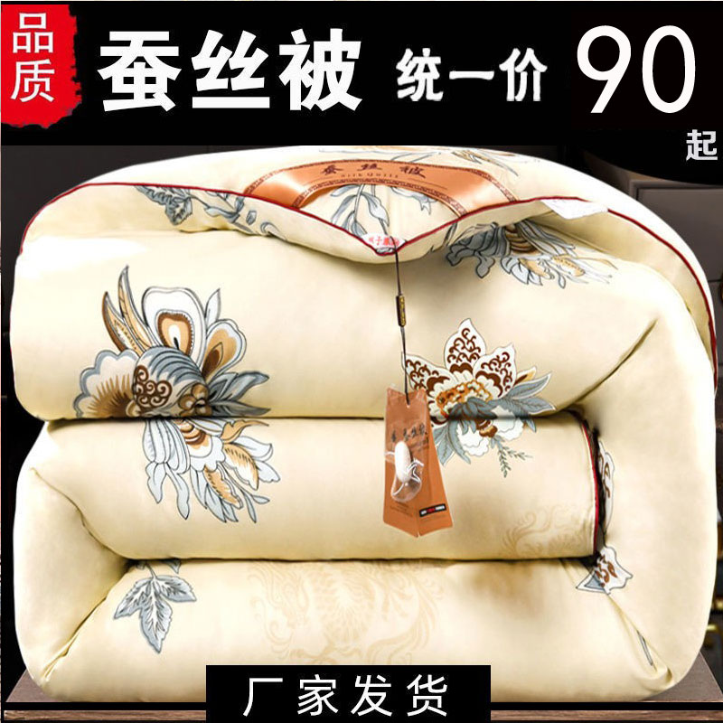 Authentic silk quilt 100 mulberry silk Spring and autumn quilt cotton quilted by core thickened winter quilted by single double 10 catty winter