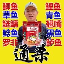 Deng Gang recommends one pack of fishing bait for crucian carp carp grass carp bream herring and wild fishing bait.
