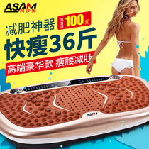 Shake-up machine shake machine lazy person thin belly slim waist down to reduce abdominal home self-discipline fitness station upright sports equipment