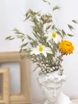 Nordic air-dried real flower Xiawei resin head portrait ins vase home decoration dry flower bouquet decoration living room decoration