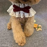 Слюнявчик, шарф, нагрудник, аксессуар, ожерелье, чокер, галстук-бабочка