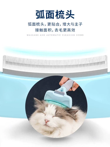 Кошка расчесывает специальное очиститель для волос с артефактом, чтобы удалить волосы щетки домашних животных, чтобы удалить волосы