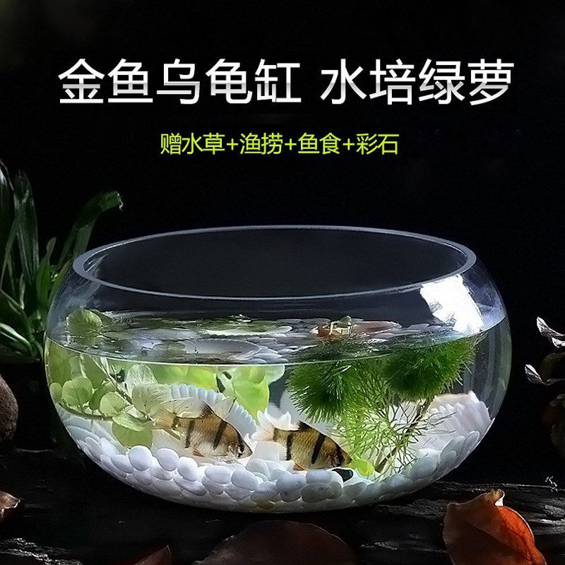 Round fish tank Independent type glass decoration Large number desk thickened small steel Turtle Transparent Landscape Living-room