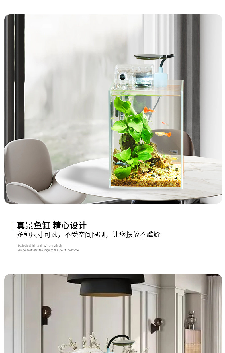 MINI Ecological Fish Tank Setup - Tropical Aquatic Shop - Indoor Fish Tanks With Low Energy Consumption