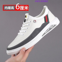 Jaya shoes and clothing 6cm increased Emperor shark optional brand light luxury leisure small white shoes White PAMI strict selection