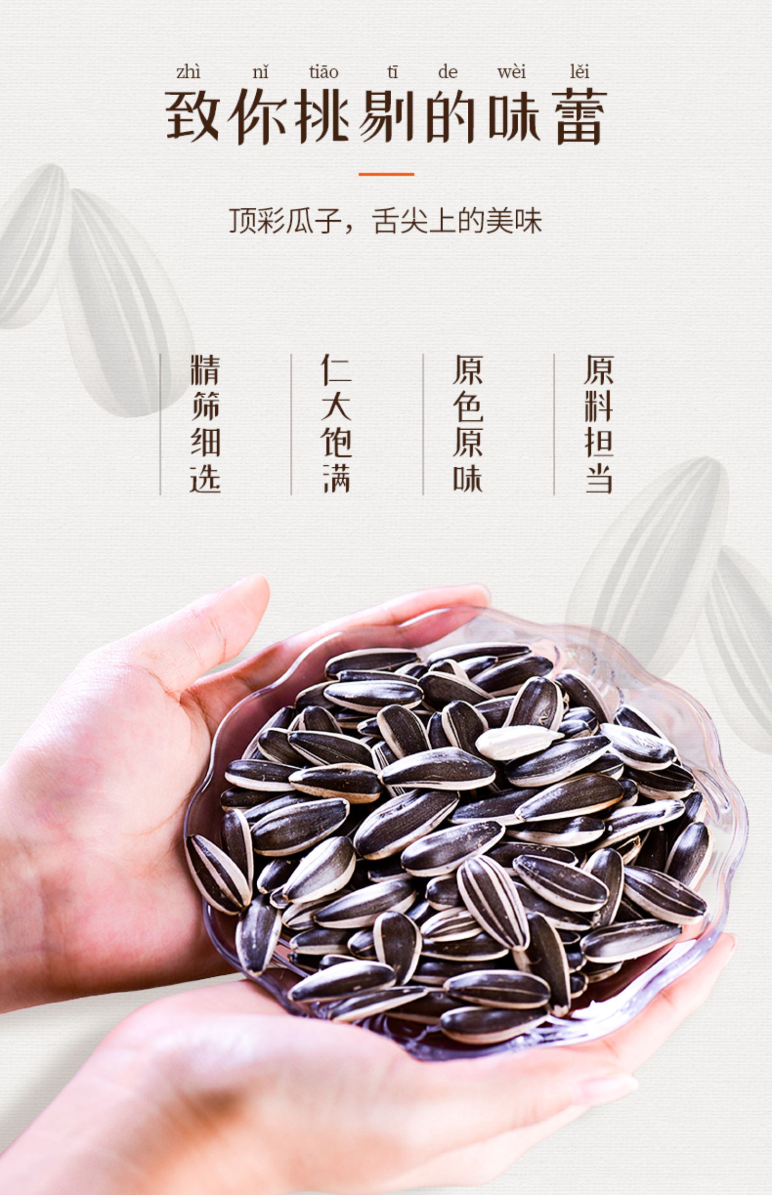 【顶彩】原味瓜子零食小吃罐装119g