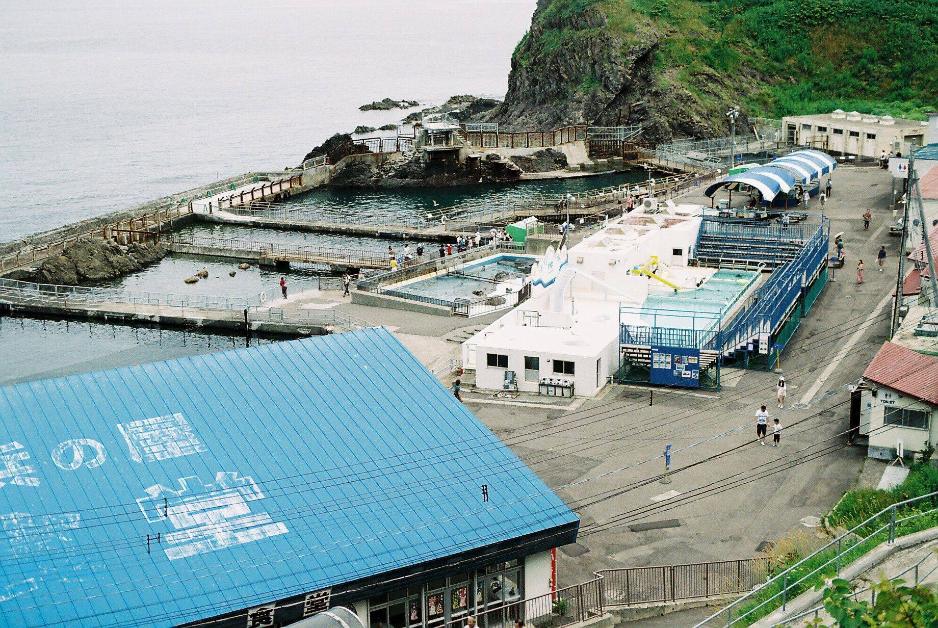 图片[15]-富士胶片配置文件预设 SP3000扫描仪胶片色调 PS/ACR 预设LR滤镜-cg男孩