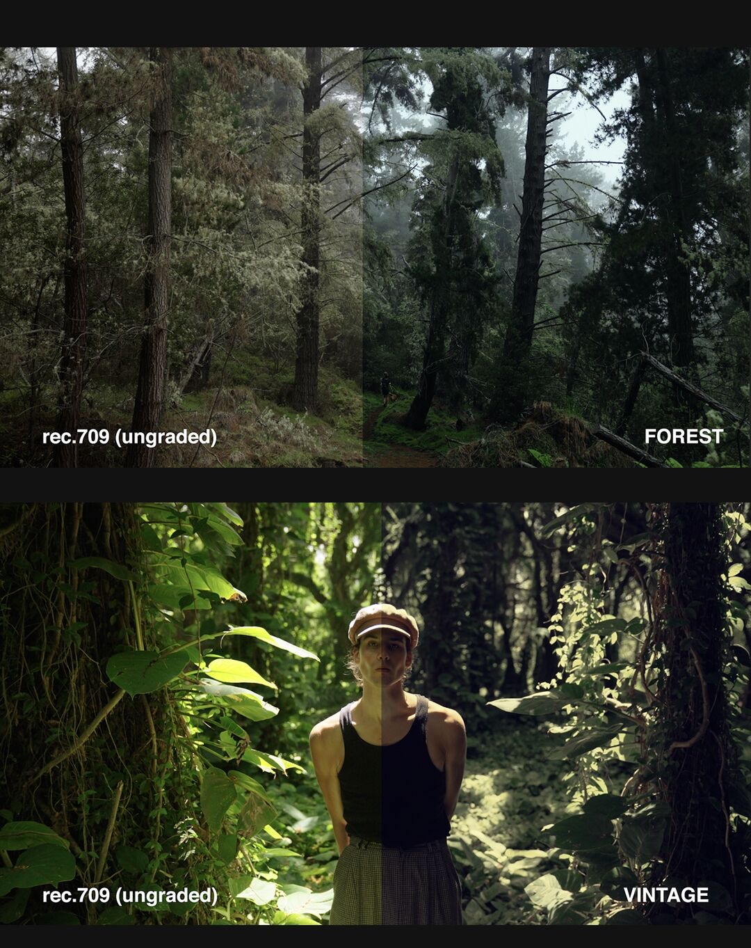 图片[4]-LR配置文件预设 电影感LUT街拍滤镜人文复古电影PS颜色查找预设-cg男孩