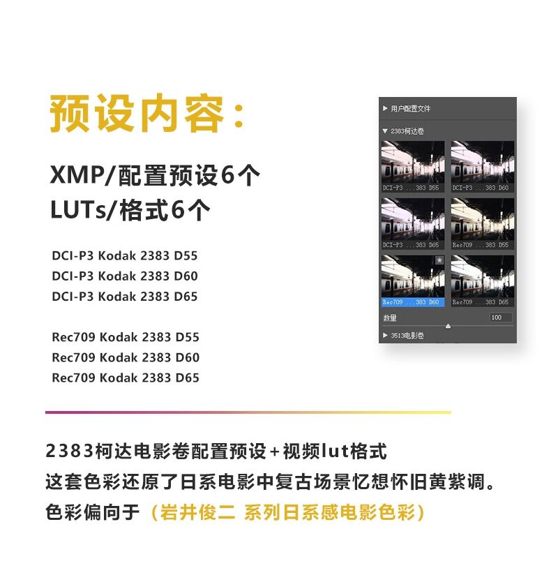 图片[3]-2383电影卷配置文件预设 LUTs 日系柯达胶片PS滤镜Camera Raw预设-cg男孩