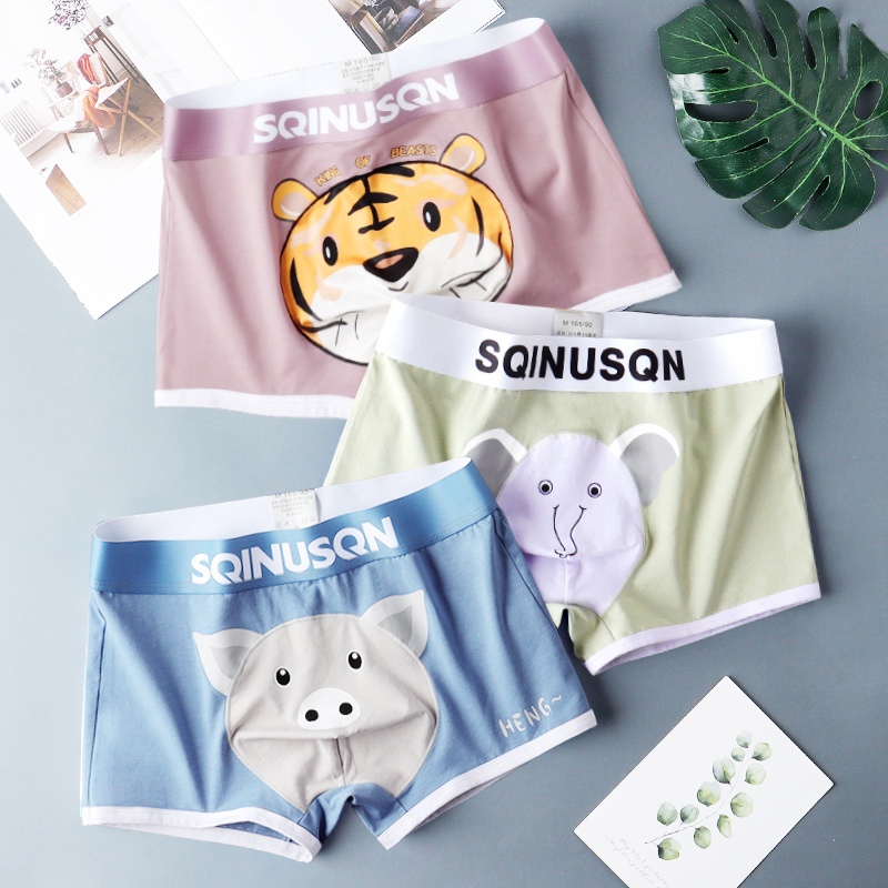 Sqinusqn/Lion Qino Cartoon Mix and Match Men's Underwear Boxer Briefs Student Underpants Youth Boxer Shorts