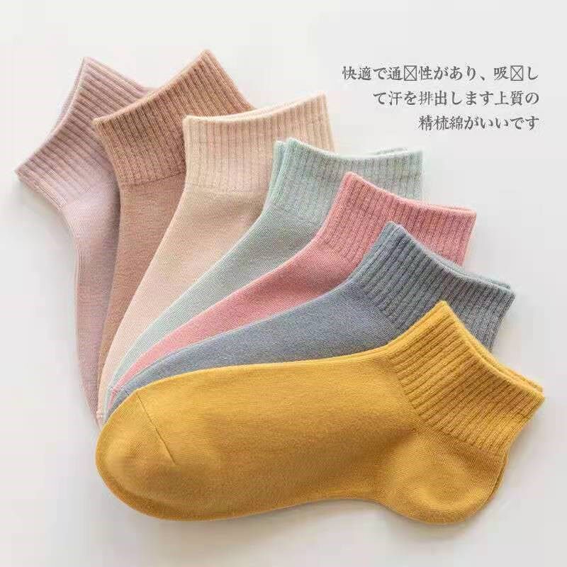 Zhejiang Zhuji Socks Socks Female Short Socks Damp Net Red LOVELY DAY ENSEMBLE PURE COLOR COTTON SOCKS SPRING AUTUMN WINTER STYLE LADY