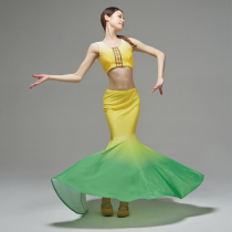 Dai fishtail skirt adult grade examination practice performance clothing Xishuangbanna stage performance clothing art examination practice dance skirt