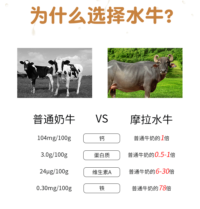 乳鹰 水牛纯牛奶 200ml*20盒 整箱装 图4