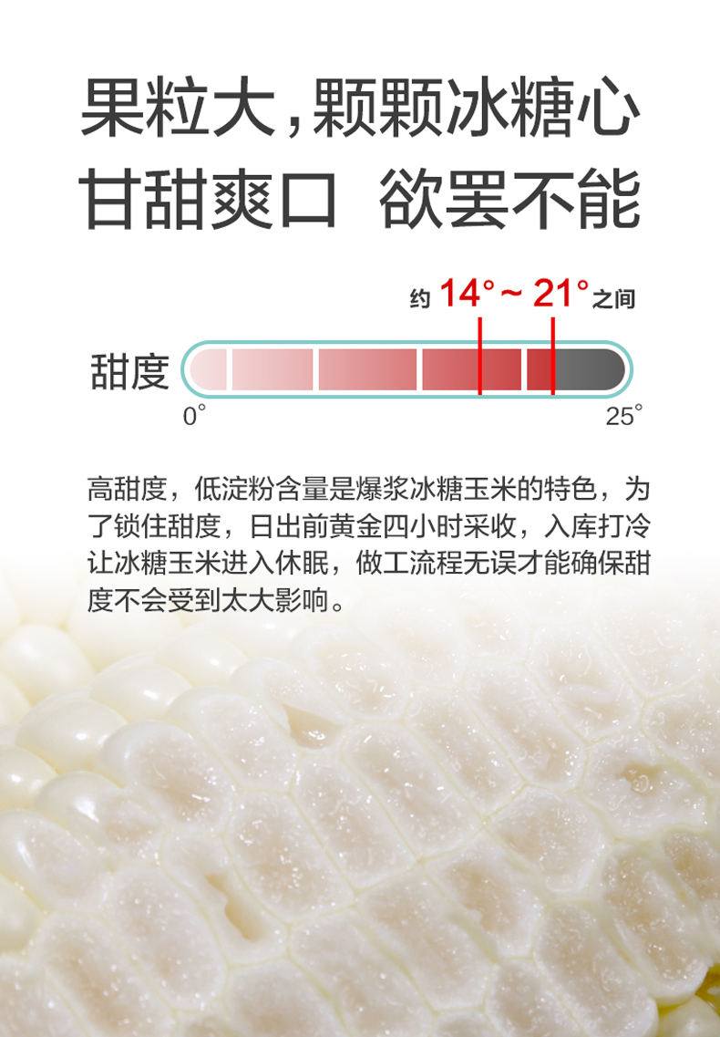 新鲜当季即食生吃水果玉米7根装单果220