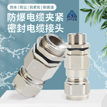  304 stainless steel armored connector Metal waterproof gran head G tooth fixed cable connector flameproof cable clamp