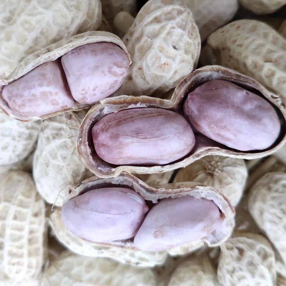 2025年水煮花生有什么新特点?适合当零食吗?