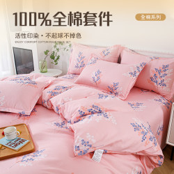Pure Cotton Four-Piece Set, All-Cotton 2024 New Model Bed Sheet, Duvet Cover, Three-Piece Set, Summer Dormitory Single Bed Bedding