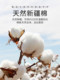 100% Pure Cotton Bed Sheet Single Piece Summer All-Cotton Student Dormitory Single Children's Double Bed Sheet Pillowcase Three-Piece Set 1.8