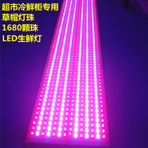 Led strip raw fresh light 1680 beads pork cooked food fruit lamp supermarket mall cold fresh cabinet photo with meat