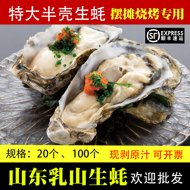A fresh fresh fresh fresh fresh cold - shell commercial barbecue of 20 - grain Shandong Oyster