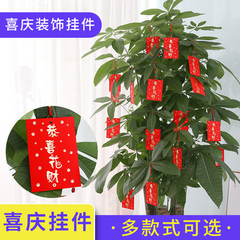New Year atmosphere New Year's Day Spring Festival bonsai ornaments fortune tree red envelope decoration with rope 100 yuan red envelope hanging tree profit is seal