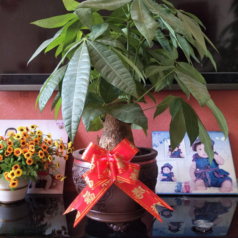 Opening flower basket decoration gift packaging ribbon butterfly ribbon hand-drawn flower fortune tree pole decoration blessing word hand-drawn flower