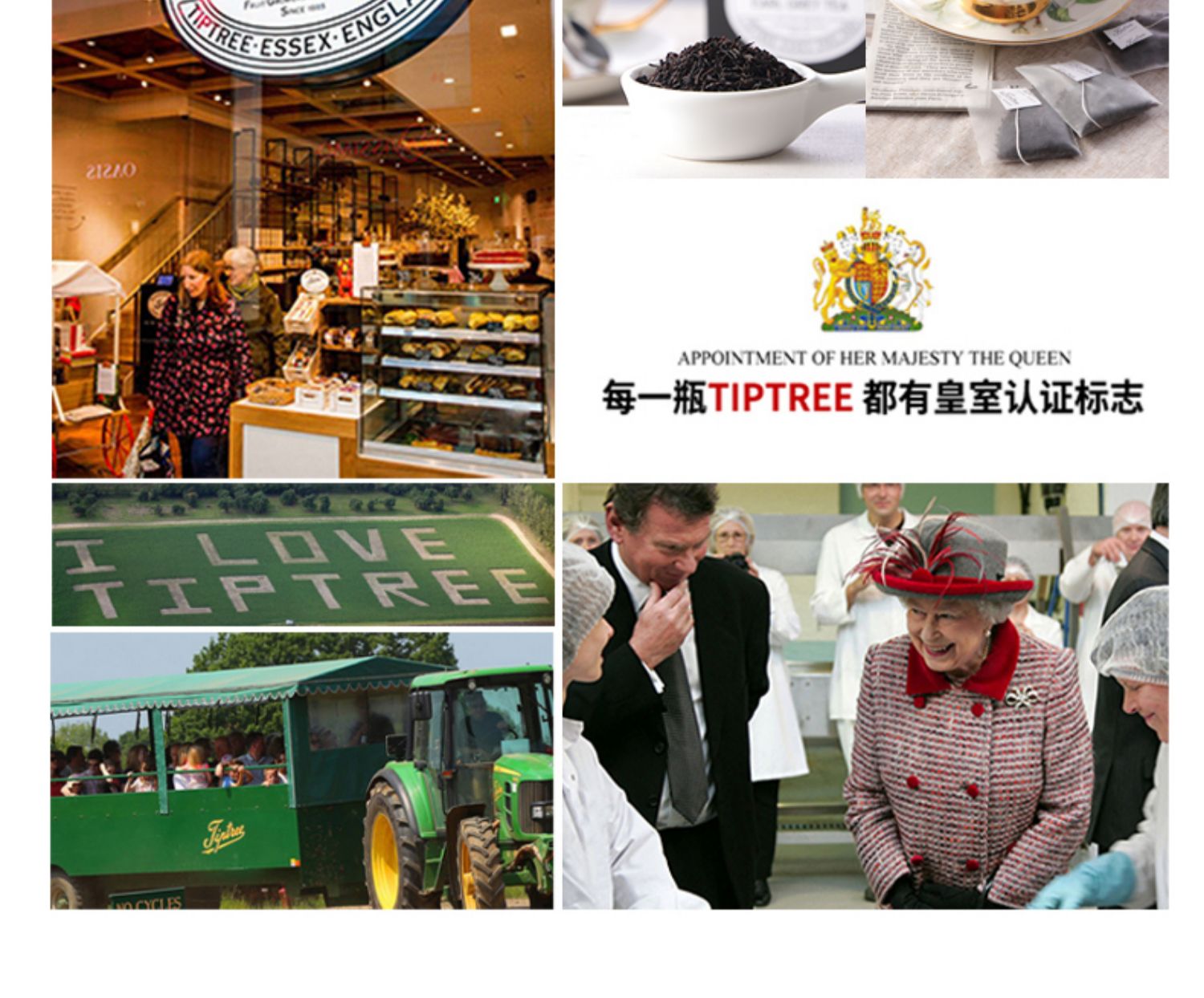 英国进口Tiptree缇树大吉岭红茶伯爵养生茶