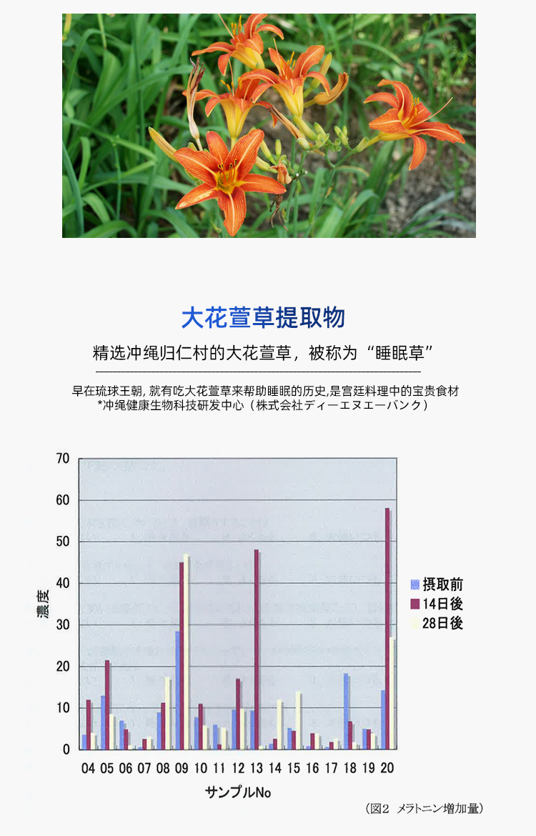 【双11预售】RAPAS睡眠片安神助眠