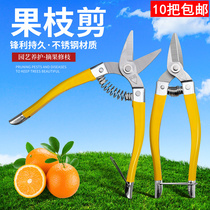 Stainless steel fruit picking scissors horticultural scissors pruning shears orange grape vegetables and fruits special scissors household