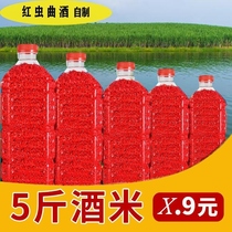 (Wine rice red worm song wine)Fishing bait nesting material Musk crucian carp carp earthworm wild fishing 