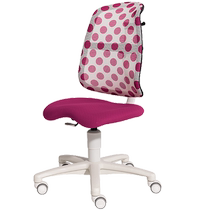 German Paidi Body Children Learn Chair Set Demovable